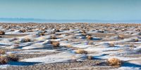 Climate Change and Displacement in Mongolia 