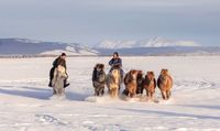 Climate Change and Displacement in Mongolia 