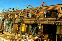 Typhoon Bopha Emergency Response