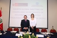 2013 Global RCP Meeting