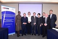 2013 Global RCP Meeting