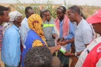 IOM Global Solar Lantern Initiative