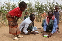 IOM Global Solar Lantern Initiative