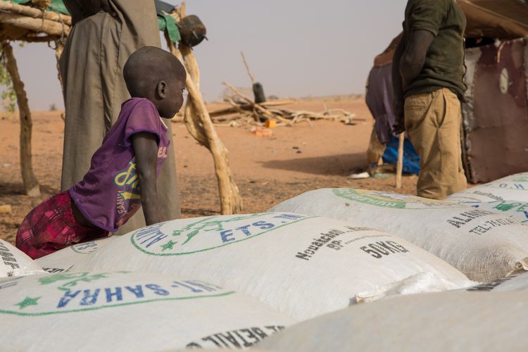 Humanitarian assistance in Hodh El Chargui region 