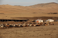 Mongolia: Climate change and disaster related migr