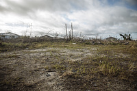 Hurricane Dorian Recovery in the Bahamas