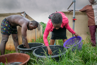 IOM Nigeria COVID-19 Response