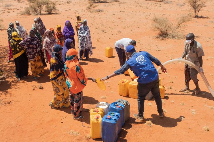 Somalia Drought Response