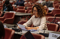 113th Session of IOM Council