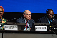 113th Session of IOM Council