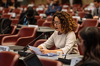 113th Session of IOM Council