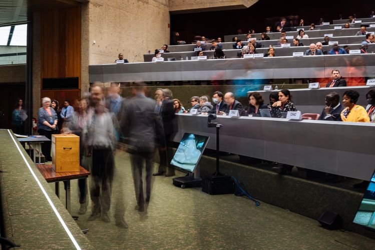2023 IOM Director General Elections