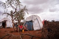 Displaced Somalis Due to Drought and Conflict