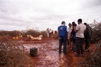 Displaced Somalis Due to Drought and Conflict